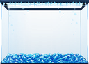 Ice Fish Tank