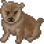 Shiba Pup Variant
