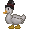 Pic Duck Variant