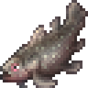Chroma Coelacanth